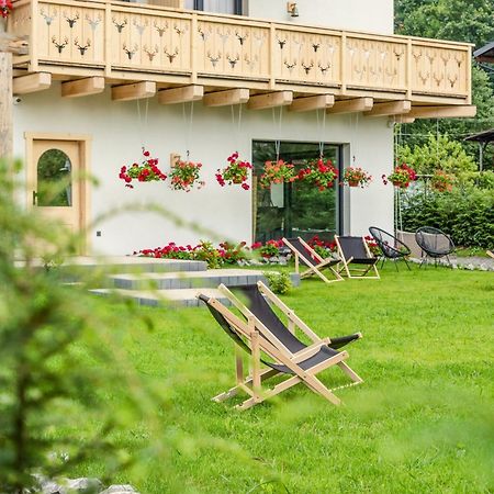 Wislanski Renifer Exteriör bild